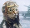 Аватара пользователя