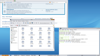 ROSA-R10-Fluxbox-Nimbus1.png (250.97 КБ) 12310 просмотров ROSA-R10-Fluxbox