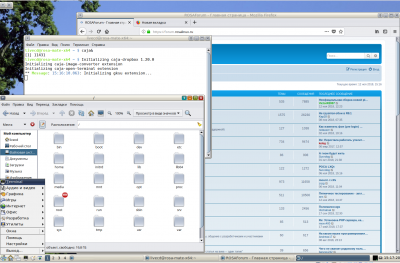 ROSA-R10-IceWM-Nimbus1.png (361.01 КБ) 12309 просмотров ROSA-R10-IceWM