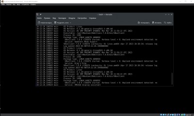 VBoxClient-all = Kill KDE