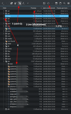 Screenshot_20240825_1.png