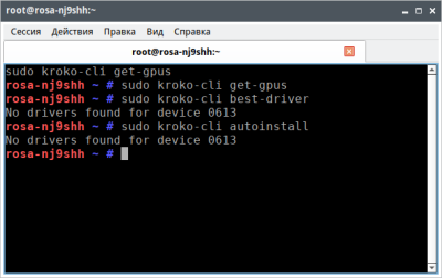 kroko_cli_output.png