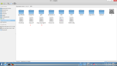 После команды --amdconfig --initial -f ---создаёт два  xorg.config