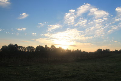 IMG_6783.JPG