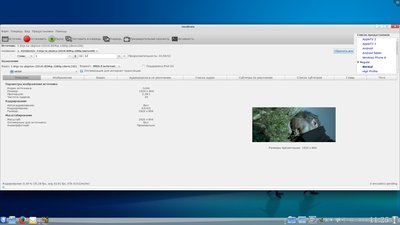 handbrake2.jpeg
