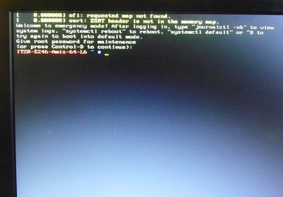 100_0409.JPG