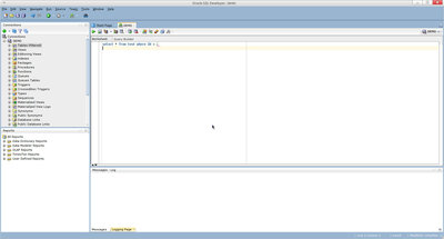 oracle-sqldeveloper02.jpg