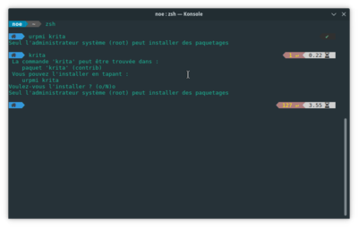 with zsh no prompt
